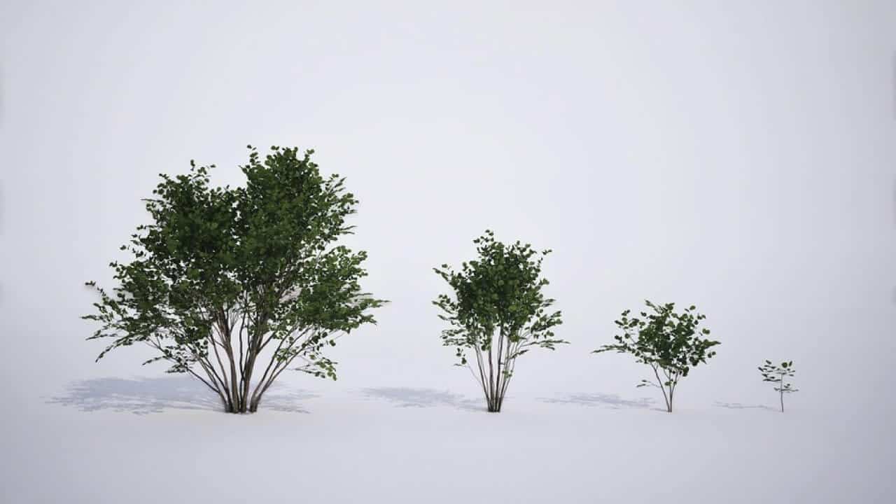 Quixel Megaplants Unreal Engine 5.7