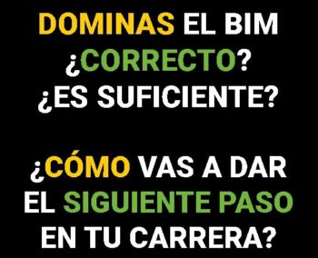 Dominas el BIM