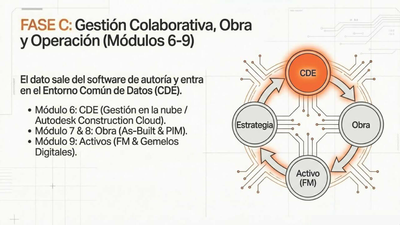 ciclo de vida del producto fase C