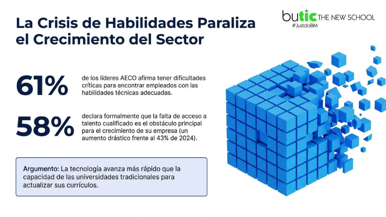 infografía sobre las habilidades del sector